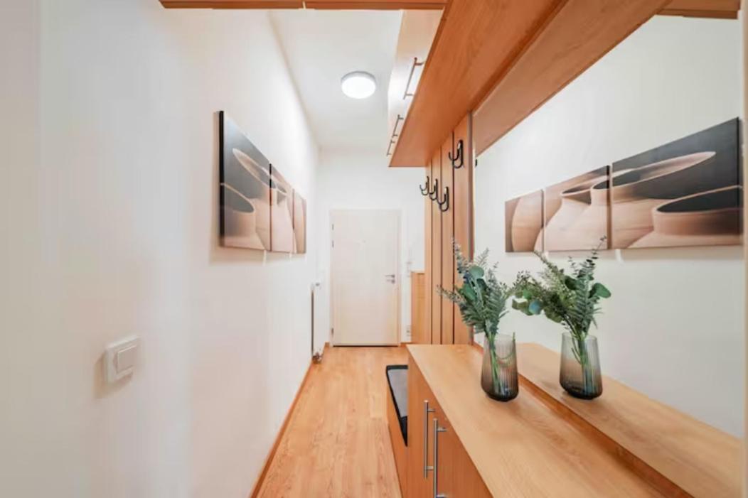 Apartments Next To Schoenbrunn - Free Parking !!! ウィーン エクステリア 写真